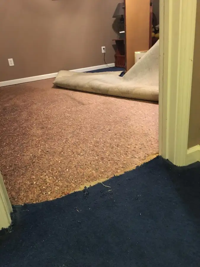 Carpet pad removal revealing water damage during Drying & Dehumidification in Tukwila