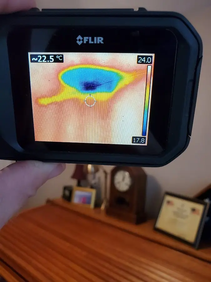 Thermal imaging inspection for water damage in Tukwila