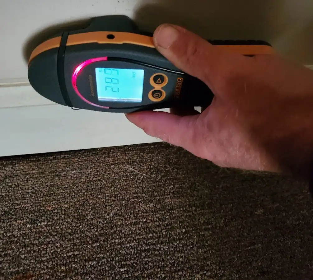 Moisture detection at baseboard during Storm Damage Restoration in Tukwila
